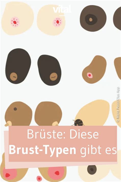 Popos, Brüste, Vulven und Penisse!